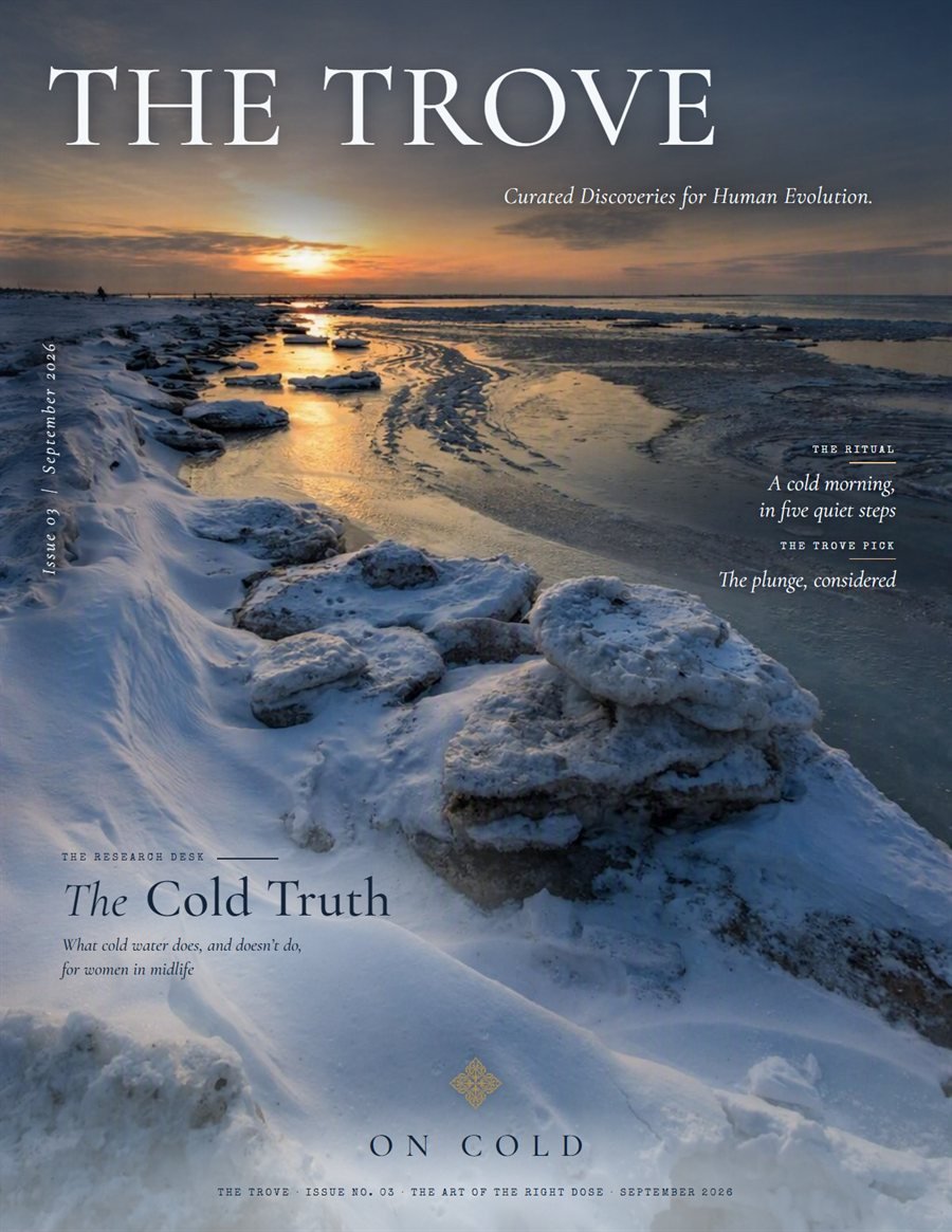 The Trove Issue 03 On Cold